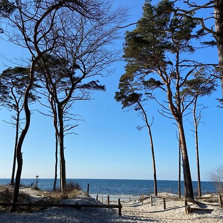 Ferienwohnung Strandkoje Дирхаген Экстерьер фото
