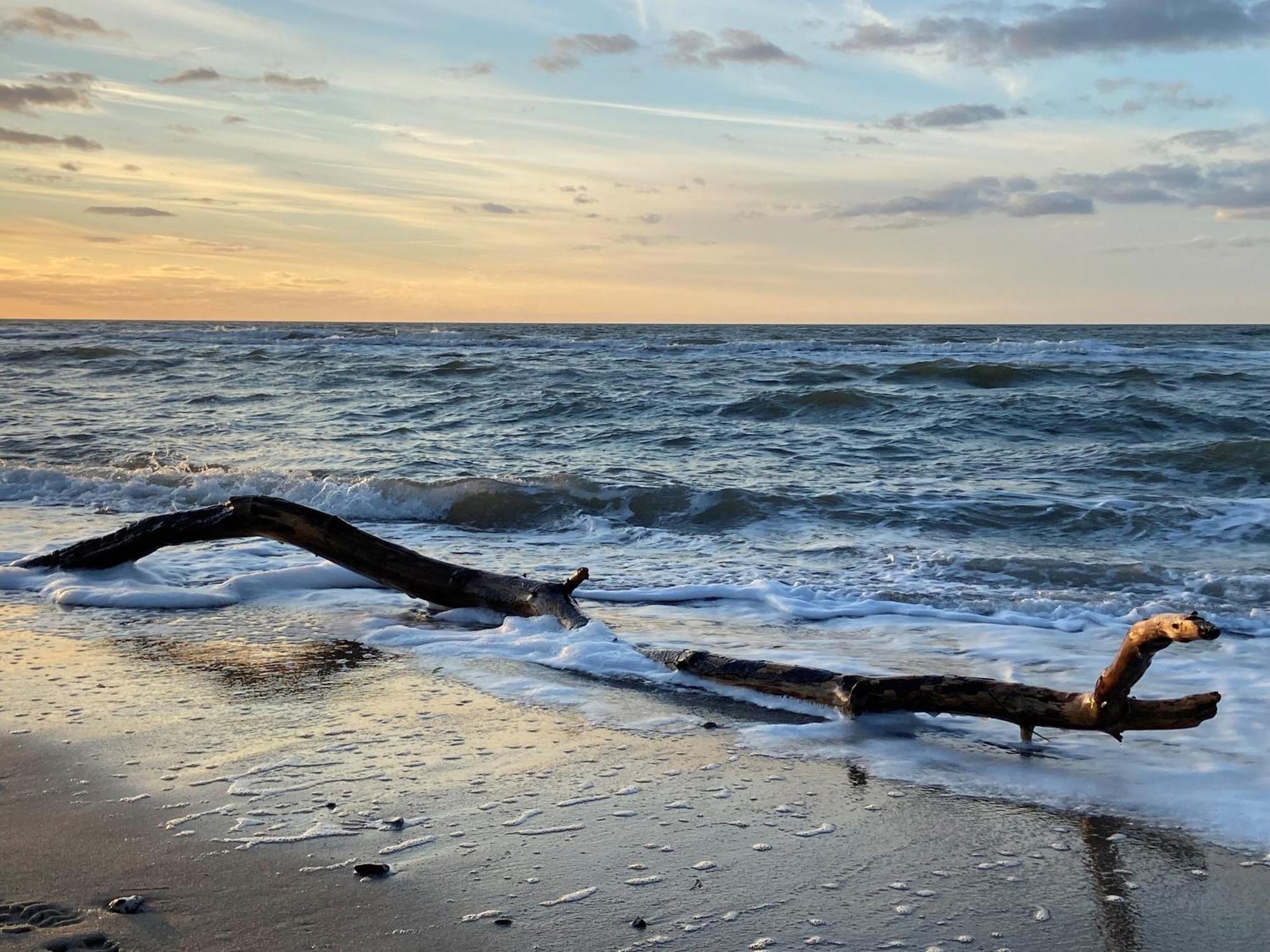 Ferienwohnung Strandkoje Дирхаген Экстерьер фото