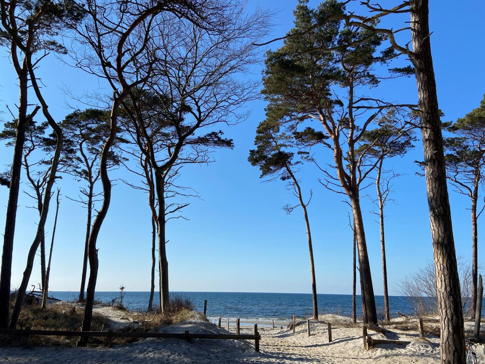 Ferienwohnung Strandkoje Дирхаген Экстерьер фото