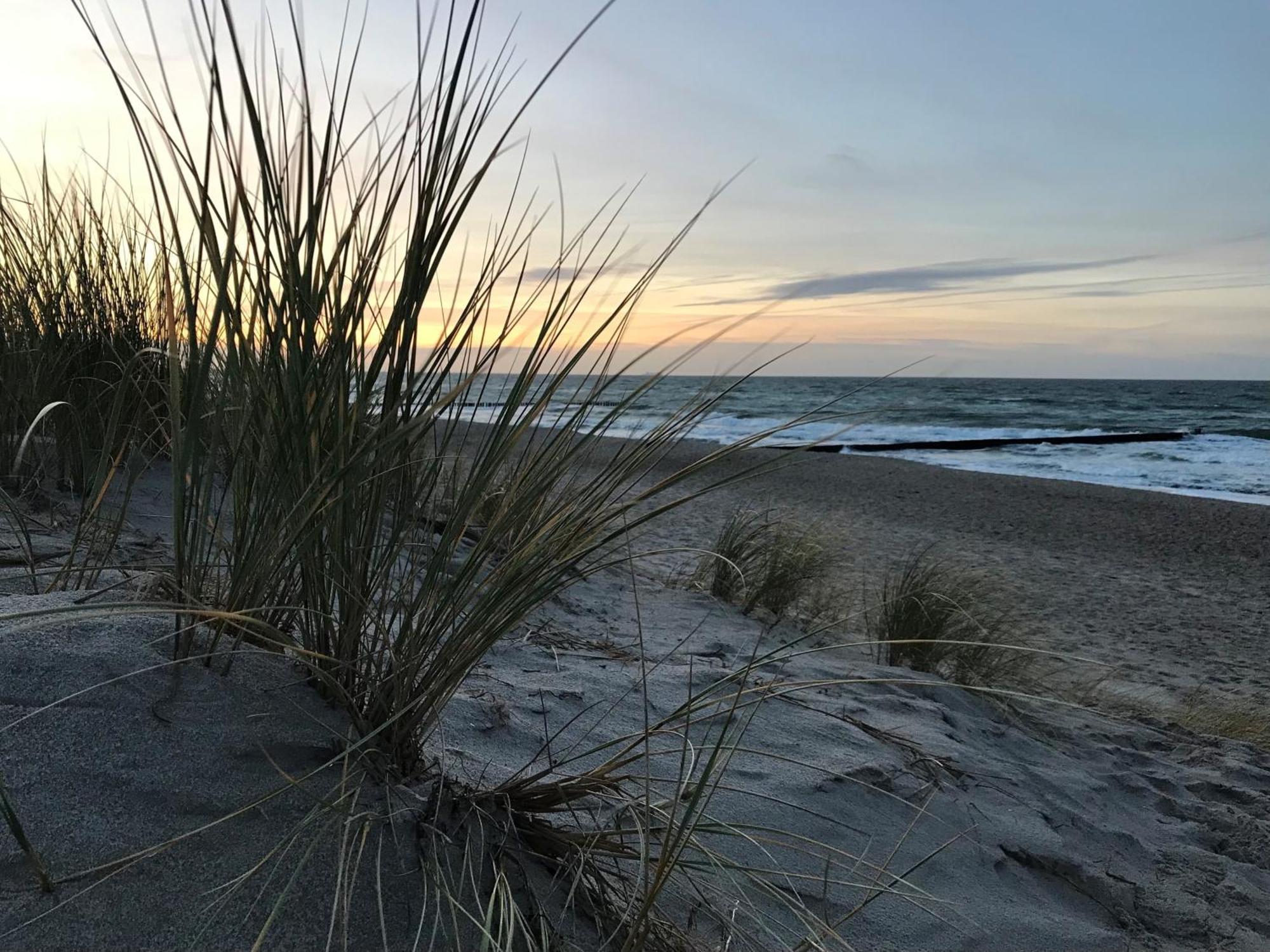 Ferienwohnung Strandkoje Дирхаген Экстерьер фото